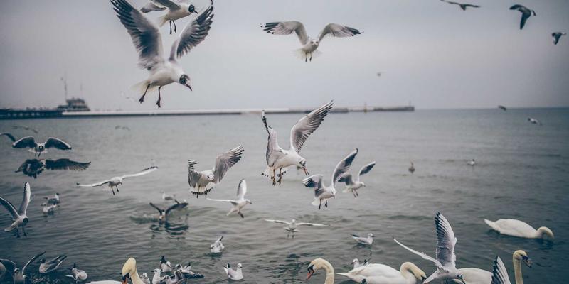 Network Technology 78：数字解决方案与网络安全融合的新纪元