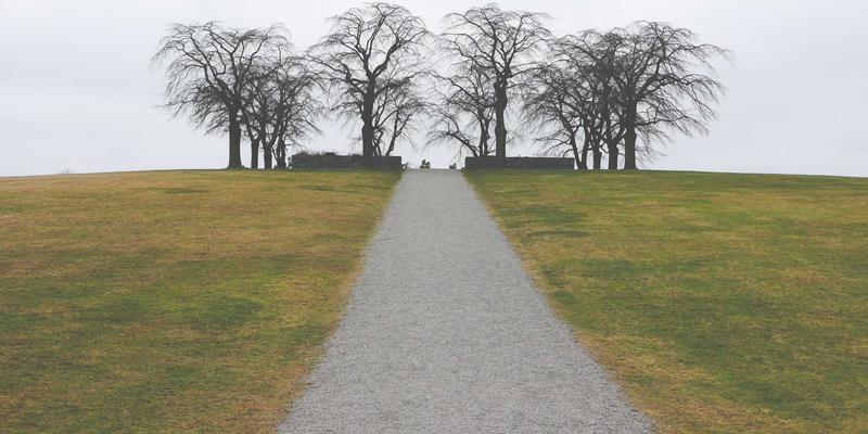 Network Technology：定义未来商业与科技的互联基石