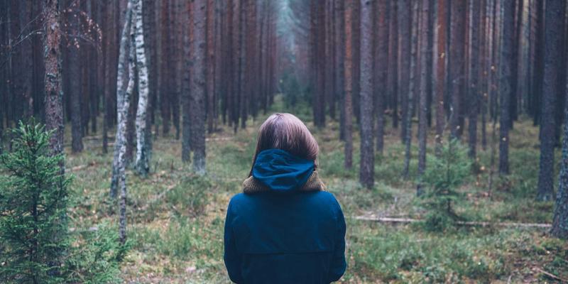 数字解决方案新支柱：网络性能监控与可观测性平台如何赋能Web开发与网络安全