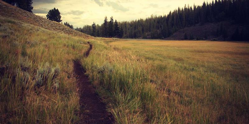 未来网络安全基石：自组织网络（SON）如何重塑5G密集组网的自动化运维