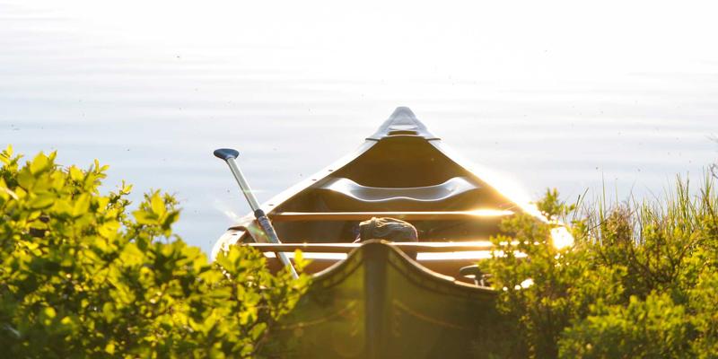 网络即服务（NaaS）：赋能未来科技与电子商务，实现按需网络与成本优化