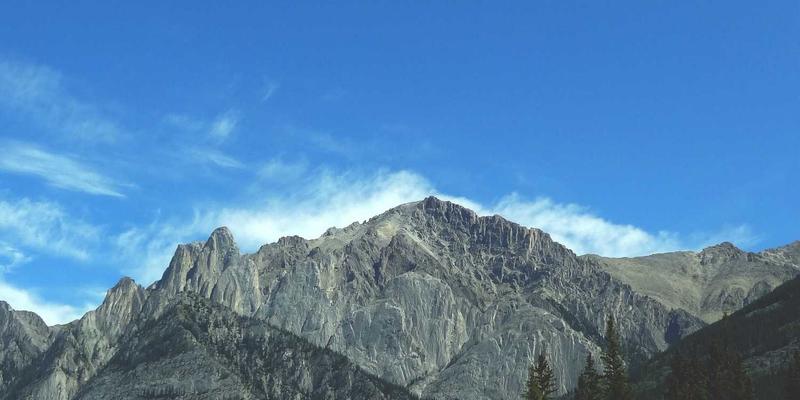 网络安全与电商革命：基于意图的网络（IBN）和API如何重塑网络运维