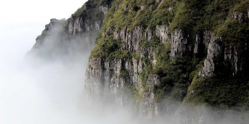 网络技术46：塑造未来科技、网络安全与电子商务的融合之路