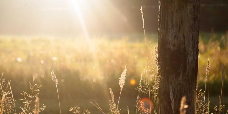 网络技术新浪潮：如何赋能在线业务与数字化转型的未来