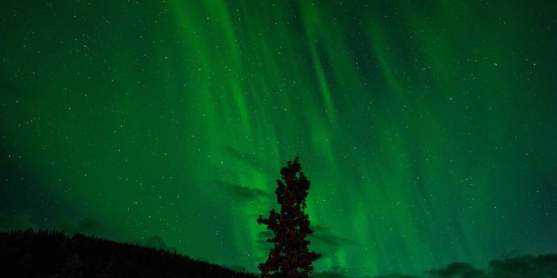 网络技术演进：网络安全与Web开发的融合与挑战