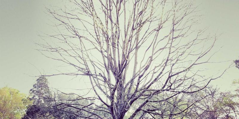 驱动数字商业变革：400G/800G光模块技术与数据中心网络升级挑战解析